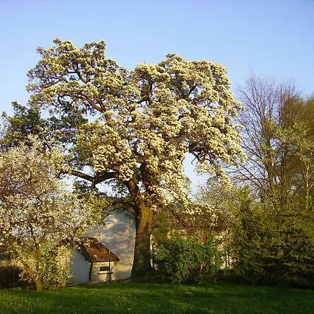 Farm stay Zakatek Pod Grusza *